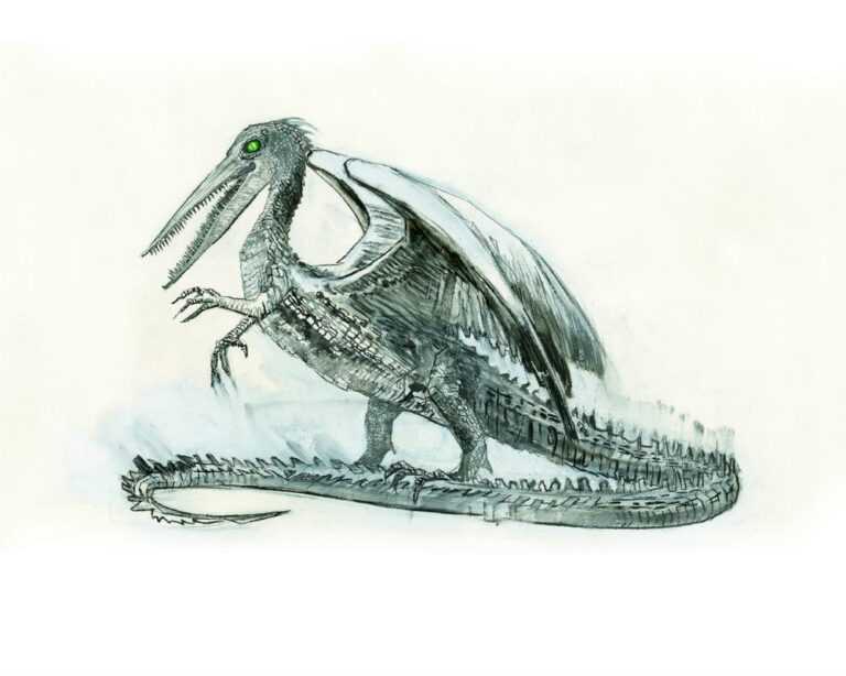 The Snallygaster: A Closer Look at the American Beast of the Harry Potter Universe