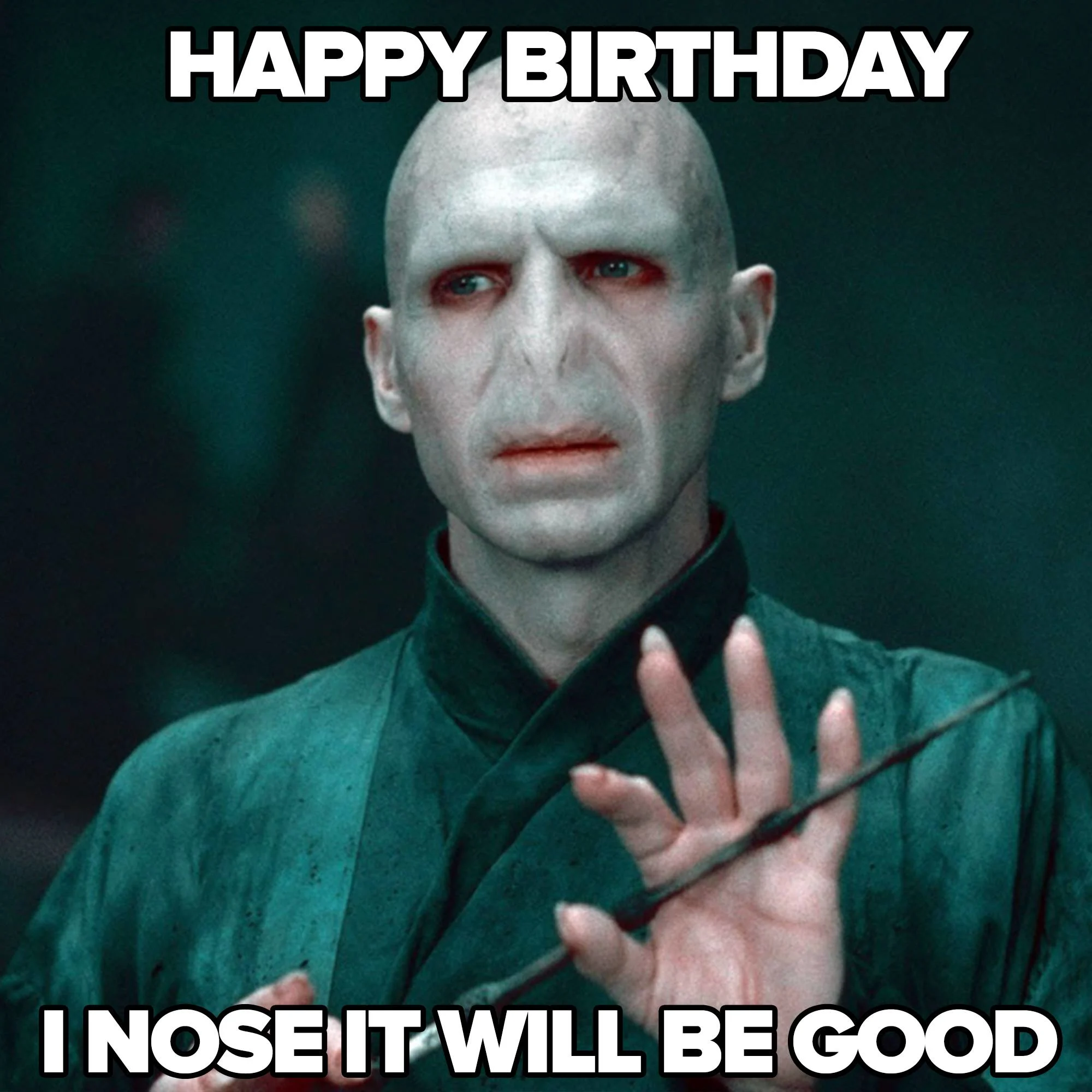 Wish Your Friends a Happy Birthday with These Harry Potter Birthday Memes 