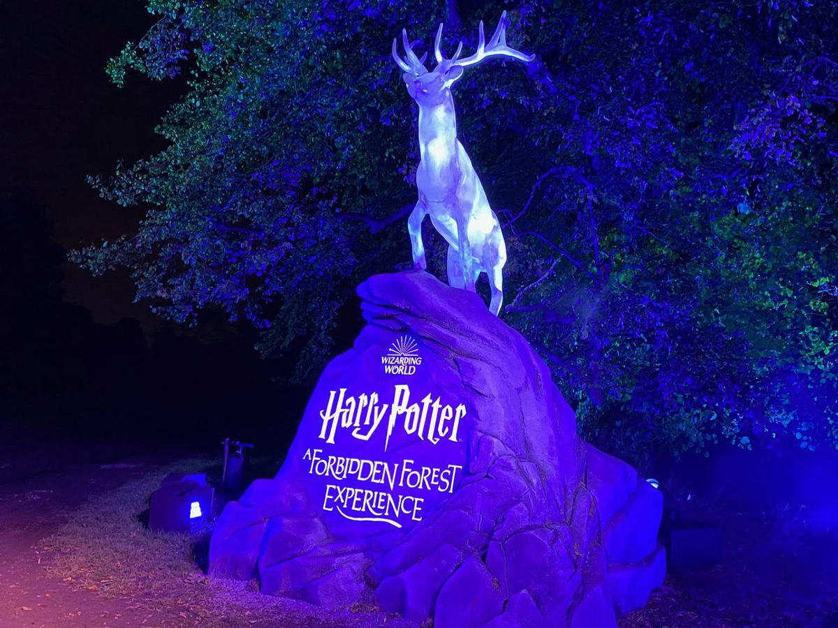 Controversy Brews Over Harry Potter Attraction in Local Wildlife Sanctuary